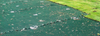 Temporary and Permanent Erosion Control Fabrics - Image