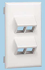 Vertical Faceplate, 4 Module, White; Accessory Type Panduit - 41J7320 - Newark, An Avnet Company