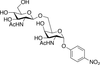 4-Nitrophenyl 2-Acetamido-2-deoxy-(6-O-2-acetamido-2-deoxy.. - 29323 - Medical Isotopes, Inc.