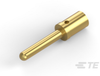 Connector Contacts - 1650177-4 - TE Connectivity