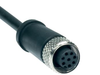 Pre-wired cable - M12 - 8-pole - A-K8P-M12-S-G-15M-BK-1-X-A-4-69-VA -  - Schmersal Inc.