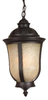 Exterior -Hanging - 21272 - Light Center (The)