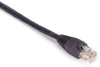 100FT Violet CAT5e 350MHz Patch Cable UTP CM Snagless - EVNSL88-0100 - Black Box