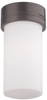 F607870U Flush Mounts-Other - 415578 - Capital Lighting, Inc.