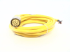 Cable for Computer Nework Etc… - Radwell International