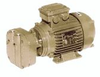 Single Stage Motor Mounted Liquid Ring Vacuum Pumps - DV0006B-M - DEKKER Vacuum Technologies