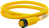 Cordset, Female, Single Ended, 5 Position, 16Awg, 25Ft; Connector Type A Amphenol Sine/tuchel - 44W3609 - Newark, An Avnet Company