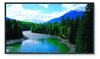 52-Inch MultiSync® Large-Screen Professional LCD Display -- LCD5220-AV