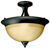 Semi-Flush Mts.-Bowl Style - 316732 - Light Center (The)