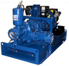 PA6A60-F4L Priming Assisted Pump - Image