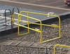Controlled Ladder Access Zone -- Ladder Defender
