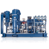 Biogas Compressors -- Series VMY - Image