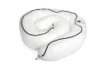 Spill Absorbents - 1938433 - RS Components, Ltd.