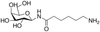 N-ε-Aminocaproyl-β-D-galactopyranosylamine - A603020 - Toronto Research Chemicals, Inc.
