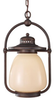 Pendant Light Fixture - OL9311GBZ - Generation Brands