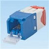 Modular Connectors / Ethernet Connectors - CJD5E88TGBU - VAST STOCK CO., LIMITED