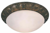 Flush Mounts-Bowl Style - 286301 - Light Center (The)