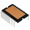 Power Driver Modules - 835-1161-ND - DigiKey