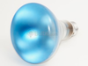 75 Watt, 120 Volt BR30 Plant Grow Reflector Bulb - 249052 - bulbs.com