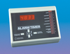 Eight Channel Alarm Timer -- Model 5005