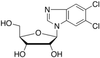 5,6-Dichloropurine-1-β-D-ribofuanosyl-H-benzimidazole.. - 23855 - Medical Isotopes, Inc.