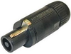 4 Pole Cable Mt(f) Speakon conn. Works w/Neutrik Speakon - CA-HPCC4F - Visual Sound, Inc.