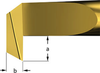 Carbide Insert Boring Bars for Back Turning -- Style B