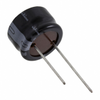 Aluminum Electrolytic Capacitors - 493-11240-ND - DigiKey