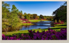 All Shore Industries, Inc. > Liquid Crystal Displays | - ASI-T-700MAKFN/A - All Shore Industries