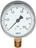 Pressure gauge WIKA 111.10 - 8991146