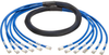 Augmented Cat6/Cat6a Pre-Terminated Copper Trunk Bundle, (6x) RJ45 (M/M), 10 ft. -- N261-010-6MM-BL