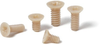 Plastic Screw - Cross Recessed Flat Head Machine Screws for Precision Instruments - PEEK -- SPE-M1.2-2.5-MF - Image