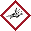 GHS Explosive Picto Label - 121202 - Brady Corporation