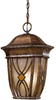 Exterior -Hanging - 21376 - Light Center (The)