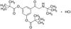 2-tert-Butylamino-3’,5’-dipivaloxyacetophenone.. - 21496 - Medical Isotopes, Inc.