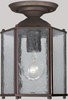 Exterior -Ceiling Mount - 234640 - Light Center (The)