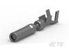 Automotive Terminals - 1-1437709-5 - TE Connectivity
