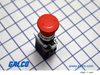 SQD Pushbutton Illuminated - XB4BT845 - Galco Industrial Electronics