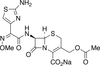 Cefotaxime Sodium - 21907 - Medical Isotopes, Inc.