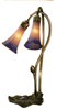 14064 Lamps-Accent Lamps - 721711 - Capital Lighting, Inc.
