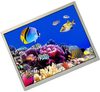 Display Modules - LCD, OLED, Graphic - 73-13884-ND - DigiKey