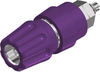 Binding Post, 63A, Panel, Violet; Product Range Hirschmann Test And Measurement - 71AC0907 - Newark, An Avnet Company