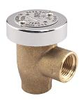 Lead Free* Hot or Cold Water Anti-Siphon Vacuum Breakers - Deck/Equipment Mounted -- LF288A-DM