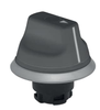 N program - NWS - Selector switch - NWS21GR -  - Schmersal Inc.