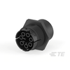 Solid State Lighting Connector Assemblies - 1-293687-1-ND - DigiKey