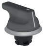 N program - NWS - Selector switch - NWS21.1GR -  - Schmersal Inc.