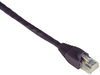 50FT Violet CAT6 550MHz Patch Cable UTP CM Snagless - EVNSL648-0050 - Black Box