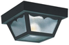 Exterior -Ceiling Mount - 59600 - Light Center (The)