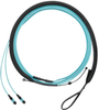 Harness Cable Assemblies - FXTRP7NQSONF012 - Panduit Corp.
