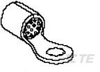 Ring Terminals - 51979-2 - TE Connectivity